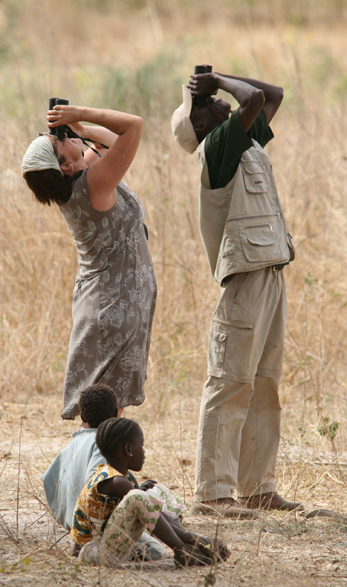 Observar Aves en Gambia (5)